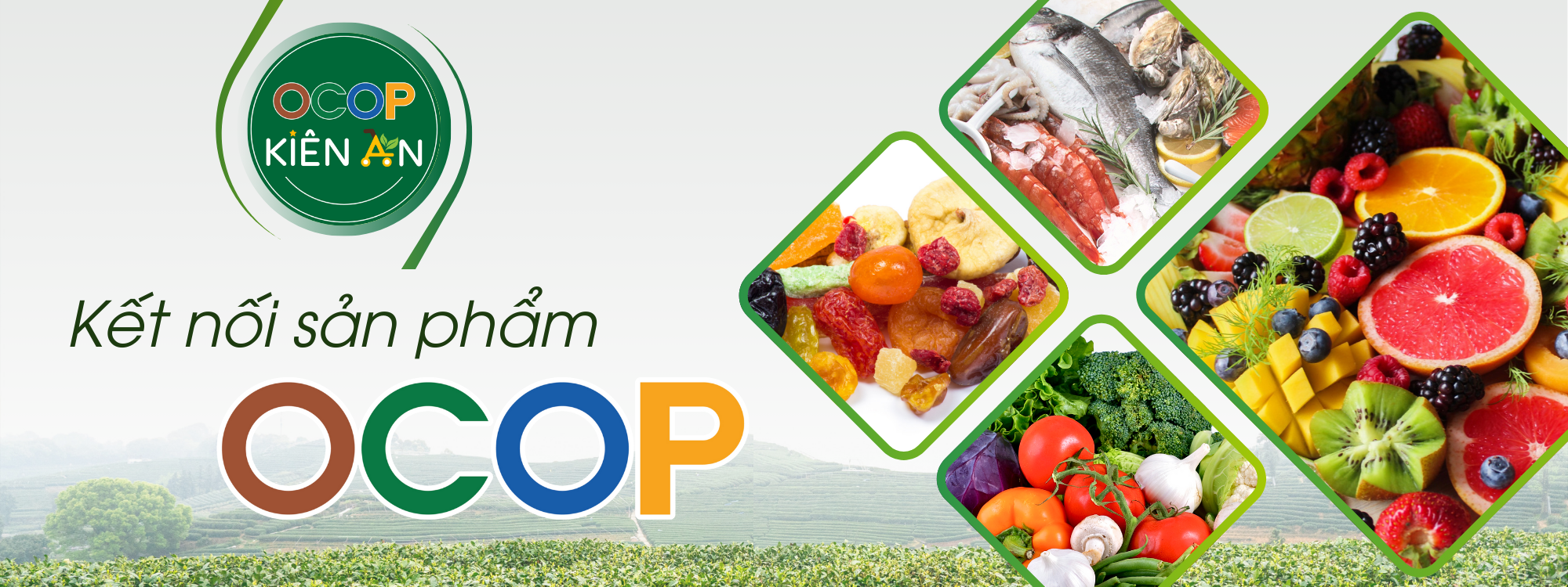 Xem tất cả sản phẩm